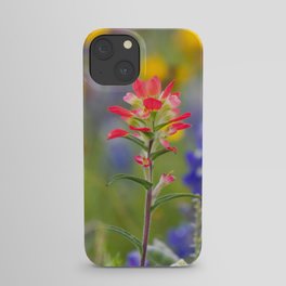 Texas Wildflowers - Indian Paintbrush, Bluebonnet iPhone Case