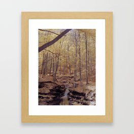 downstream Framed Art Print