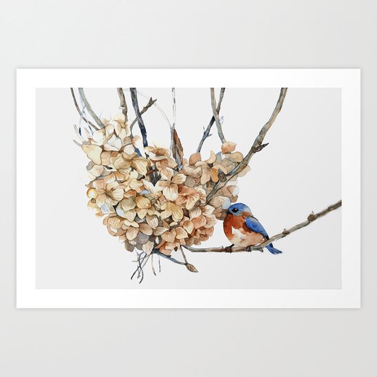 Winter Bird Art Print