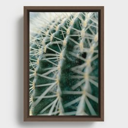 Cuddling cacti - 6 Framed Canvas