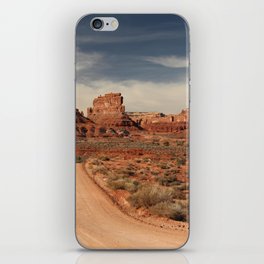Beautiful Arizona Landscape iPhone Skin
