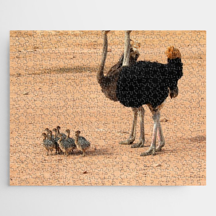 South Africa Photography - Ostrich Parents With Their Children Jigsaw Puzzle