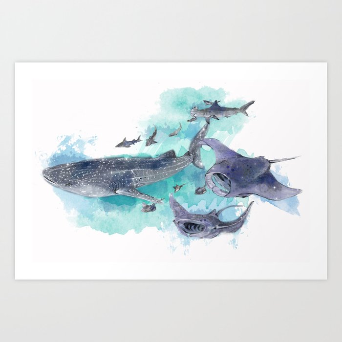 Star Sharks & Rays Art Print