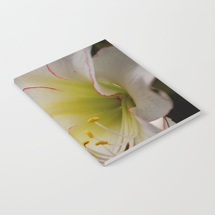 White Amaryllis Notebook