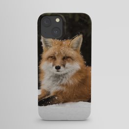 Artic Fox iPhone Case