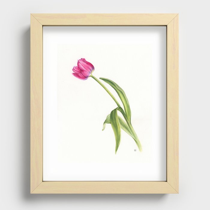 Pink Tulip Recessed Framed Print