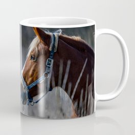 Brown horse in the field Mug