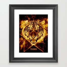 Tigris Beautiful Symmetry Framed Art Print