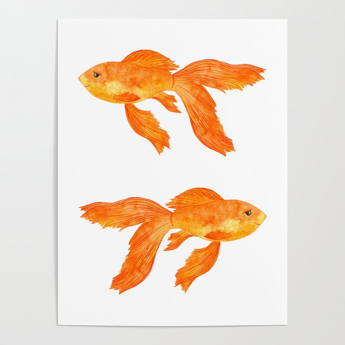 Fancy Orange Goldfish Poster