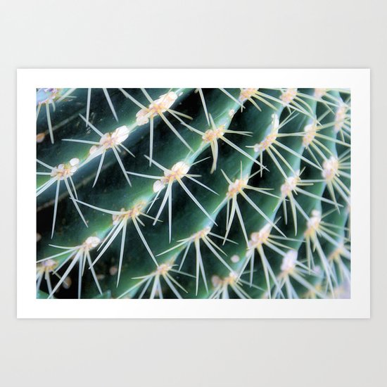 Golden Barrel cactus Art Print