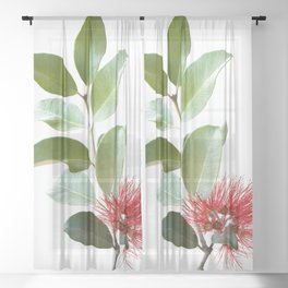 home is where your plants are Sheer Curtain