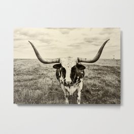Lone Longhorn Metal Print | Texas, Sky, Farm, Grass, Sepia, Portrait, Unitedstates, America, Ranch, Photo 