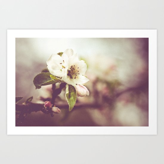 Lonely blossom Art Print