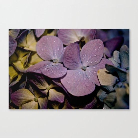 Drops Canvas Print