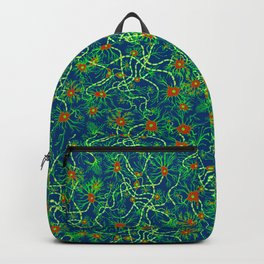 Neurons (blue and green) Backpack
