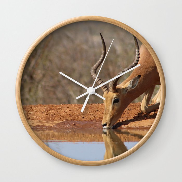 South Africa Photography - An Impala Drinking Water From A Lake Wall Clock