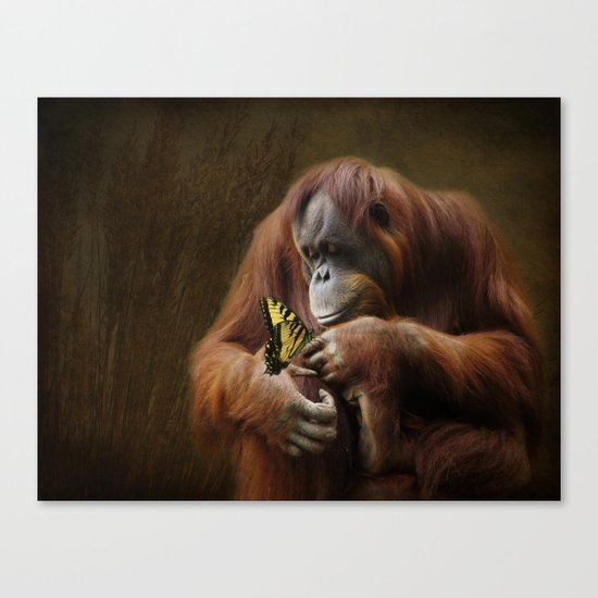 Orangutan and Butterfly Canvas Print