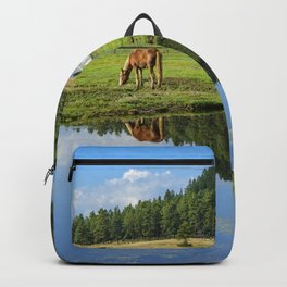 Colorado Country - 5404 Backpack | Gypsyvanner, Working Ranch, Nature Photography, Reflections, Rural, Serene, Landscape, Colorado, Cheval, Nature 