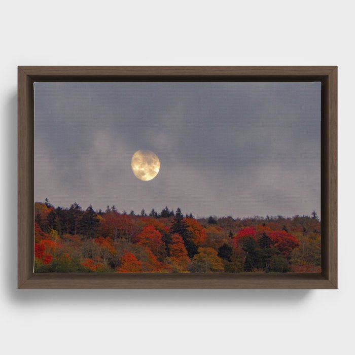 Autumn Moonrise Framed Canvas