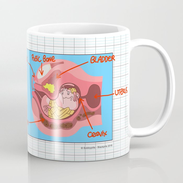 Clitoris in a cup photo 628