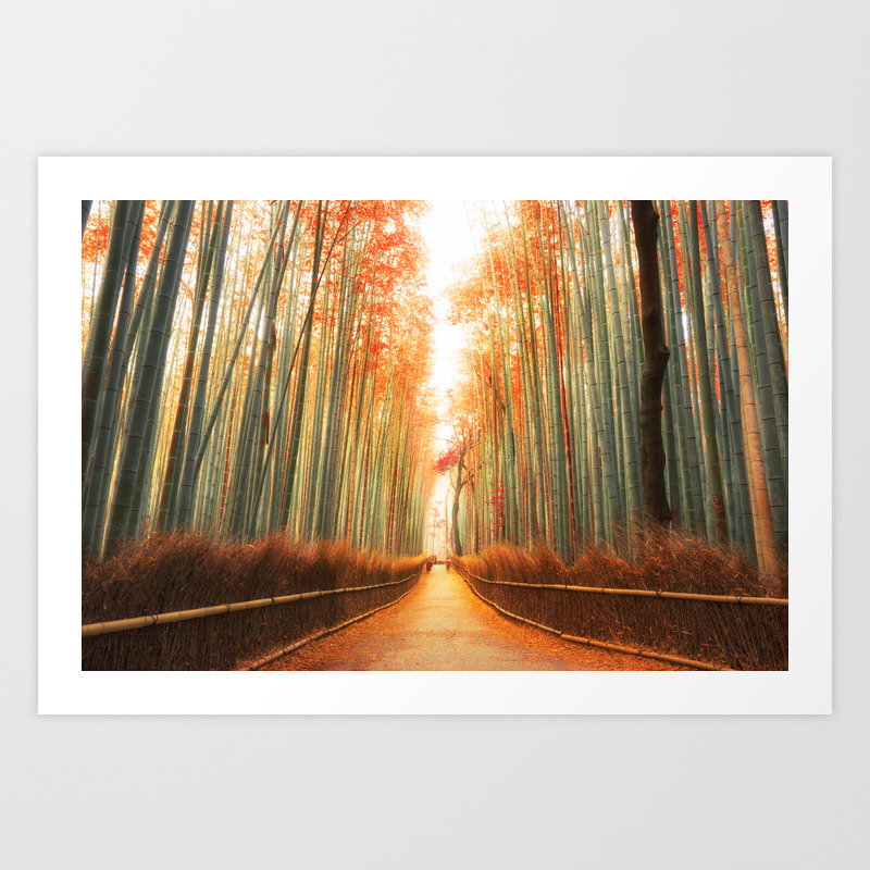 Arashiyama Bamboo Forest In Kyoto Japan Art Print By Filippobacci