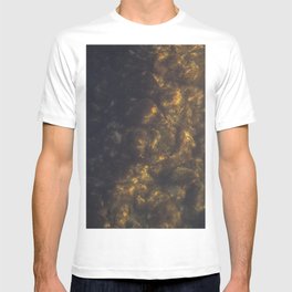 The stones covered with algae illuminated with the sun in the sunset T-shirt
