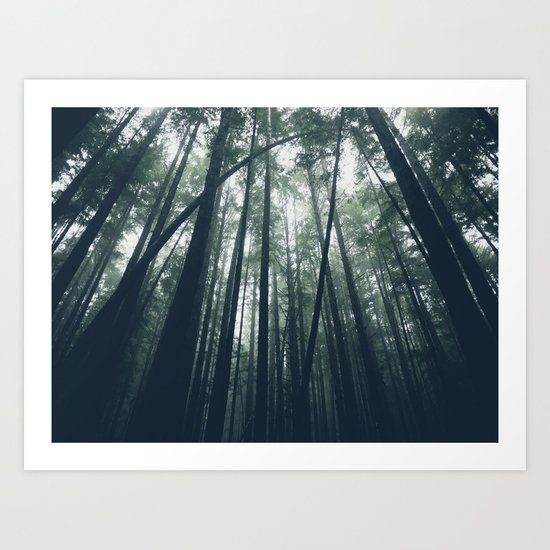 Trees Art Print