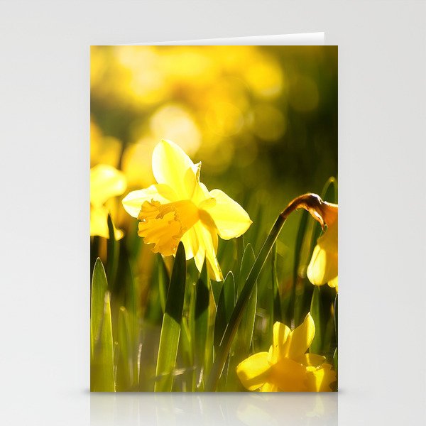 Spring Daffodils - Outdoor - Beautiful bokeh #decor #society6 #buyart Stationery Cards