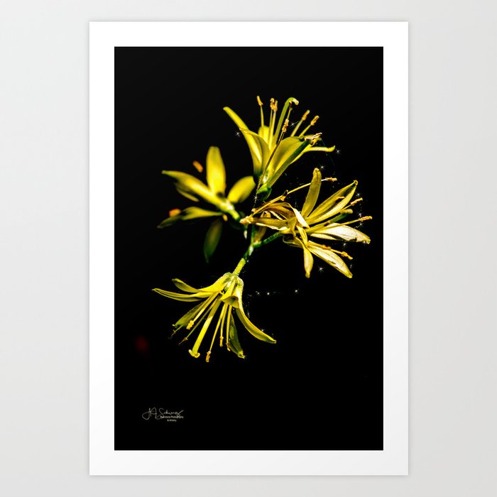 Flower web Art Print