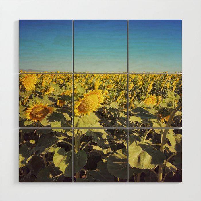 Sunflowers  Wood Wall Art