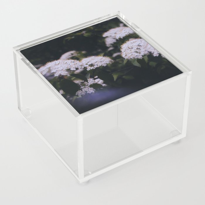 Dream State Acrylic Box