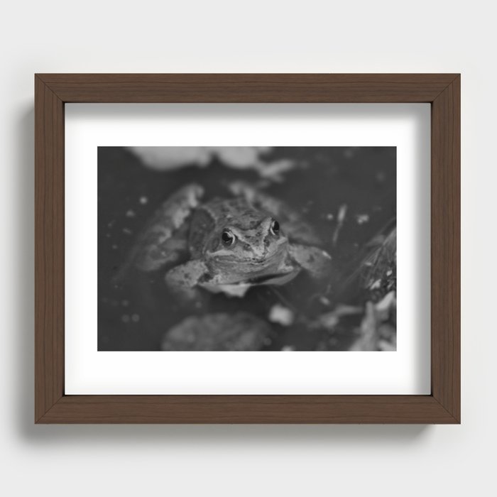 Frog Recessed Framed Print