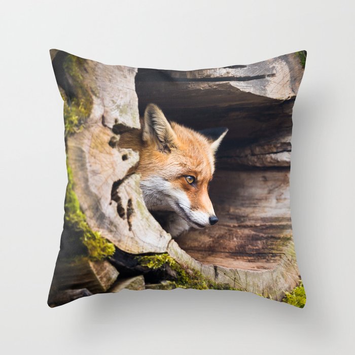 Red Fox In Mossy Log Den Animal / Wildlife / Nature Photograph Throw Pillow & more