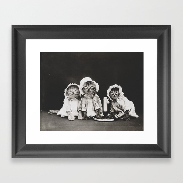Kitty Cats Ready For Bed Vintage Photo Framed Art Print