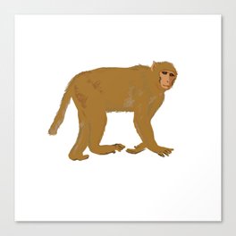Monkey  Canvas Print