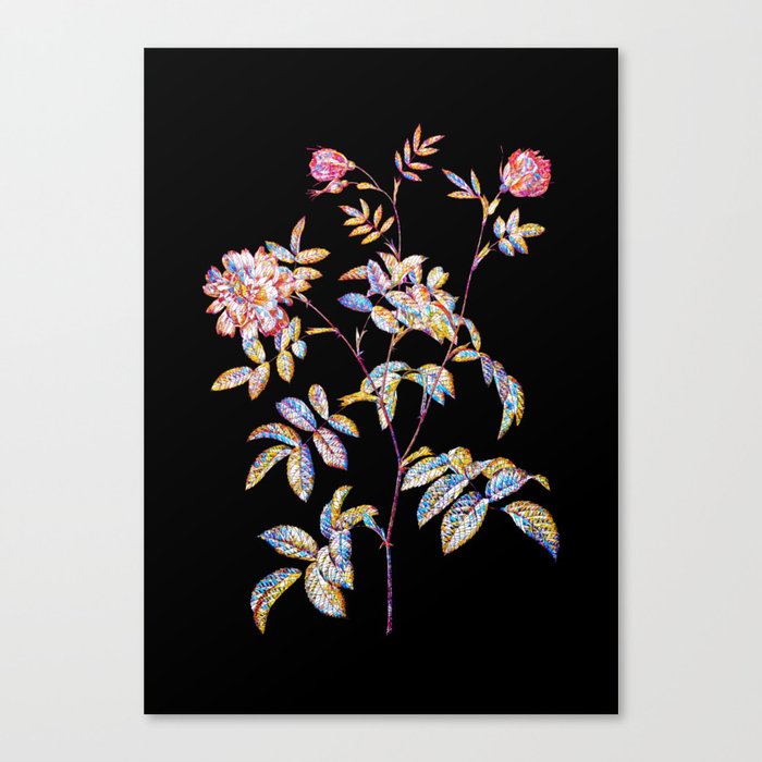 Floral Cinnamon Rose Mosaic on Black Canvas Print