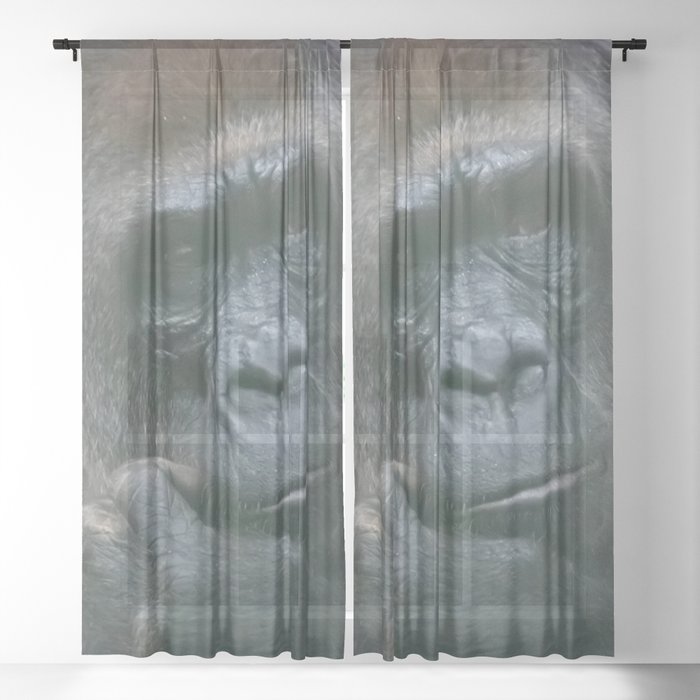 Sheer Curtain