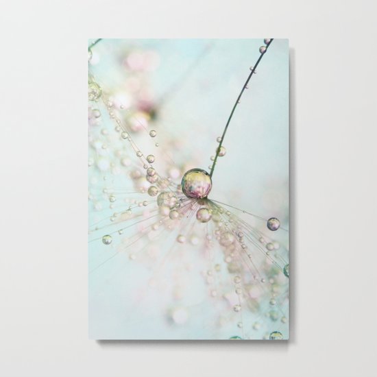 Dandy with a Hint of Pink Metal Print