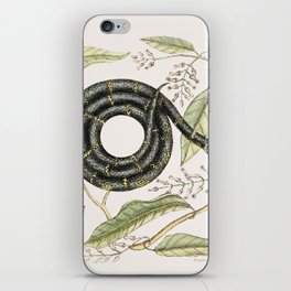 Eastern King Snake iPhone Skin