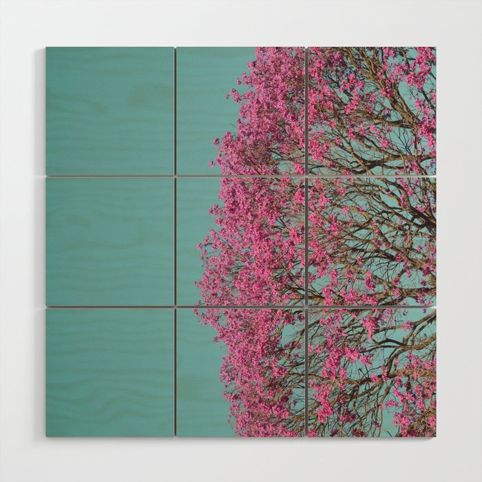 Handroanthus Tree - Flowers Pink Wood Wall Art