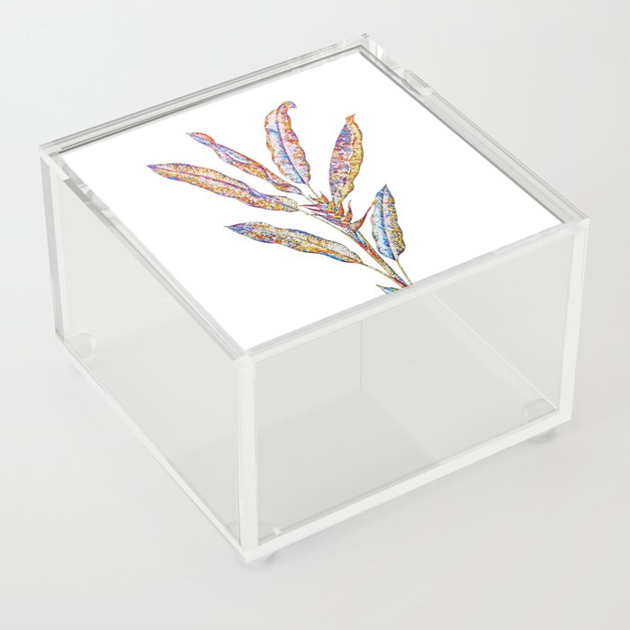 Floral Parrot Heliconia Mosaic on White Acrylic Box