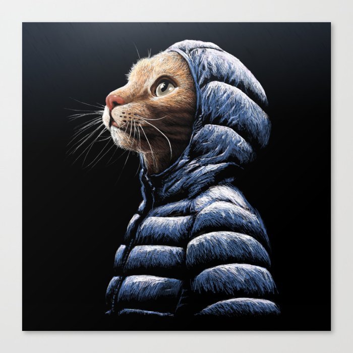 COOL CAT Canvas Print
