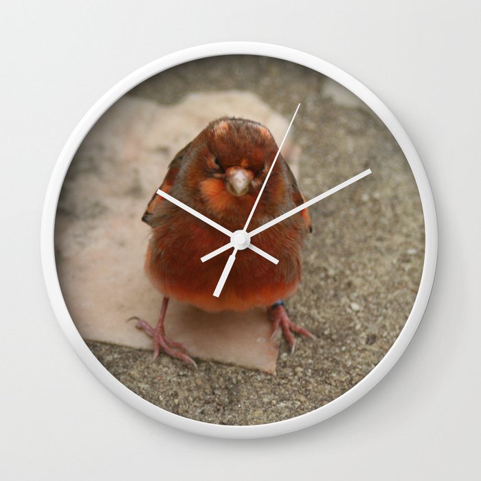 Cute runaway canary bird Wall Clock