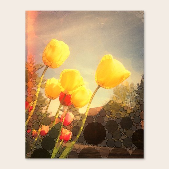 Yellow Tulips Canvas Print