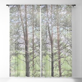 The Trees are The Treasure in I Art  Sheer Curtain