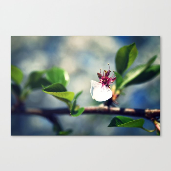 He Loves Me Canvas Print