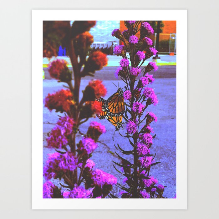 Butterfly Kiss Art Print