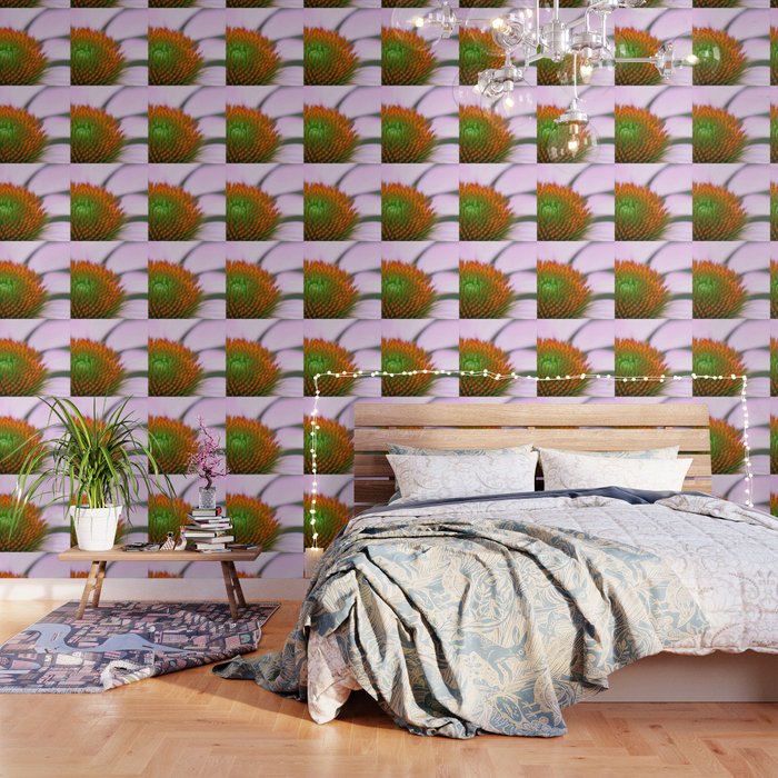 Spiky echinacea Wallpaper