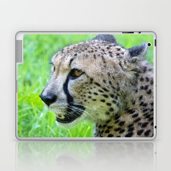 Cheetah Laptop & iPad Skin