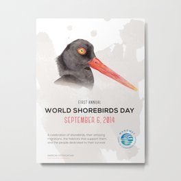 World Shorebird Day Poster-American Oystercatcher Metal Print | Painting, Nature 